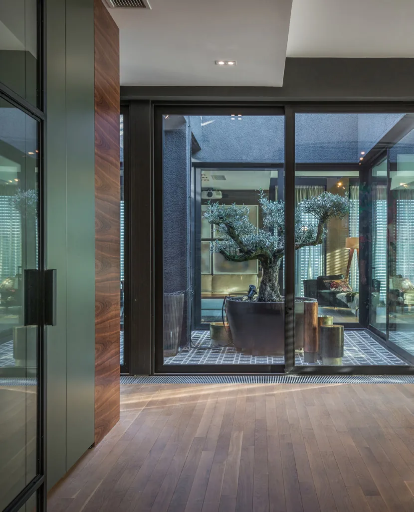 Porte d'entrée vitrée en acier noir ouvrant sur un patio